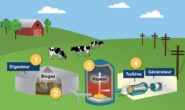 Adoptez La Biomasse Chez Soi – Ecologie, énergies Renouvelables, Vertes ...